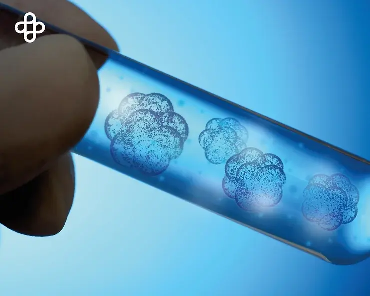 Protegiendo Tu Estómago: Cómo las Células Madre Combaten las Úlceras Gástricas