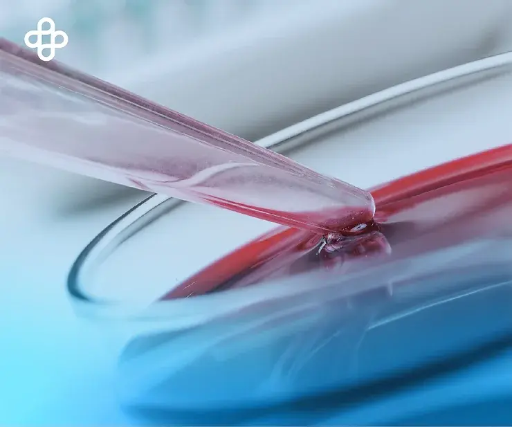 Células madre mieloides