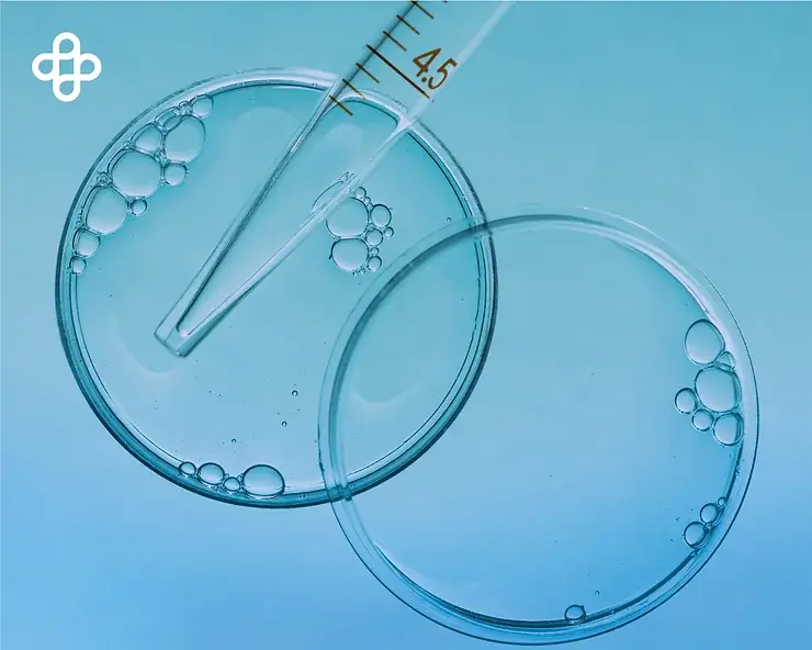 Células madre de la placenta