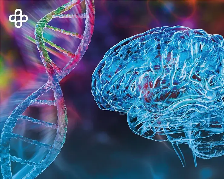 Células madre embrionarias humanas (ESC)