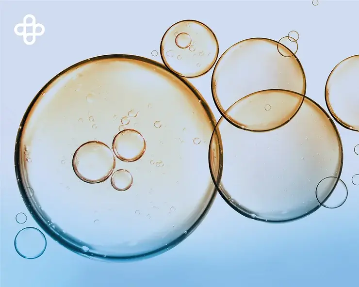 Cremas con células madre