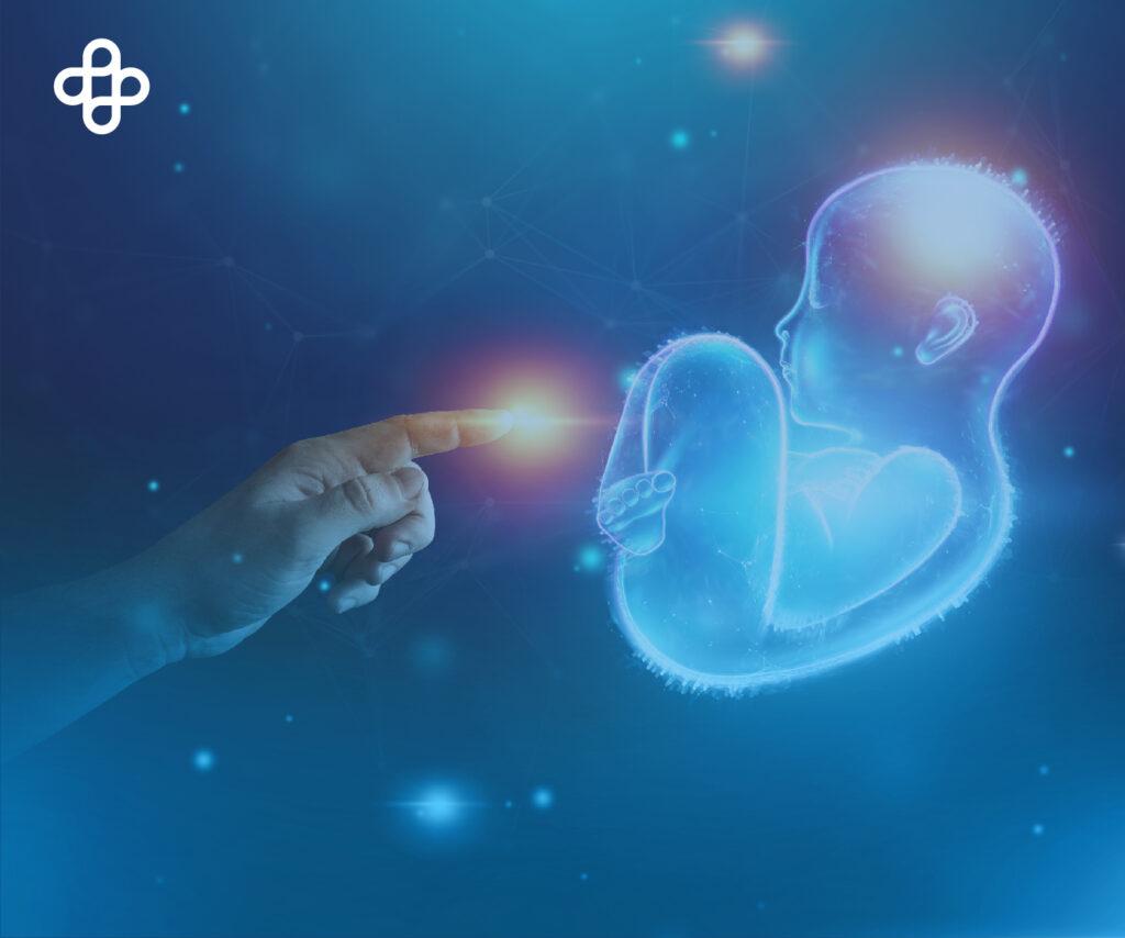 ¿Qué son las células madre embrionarias?