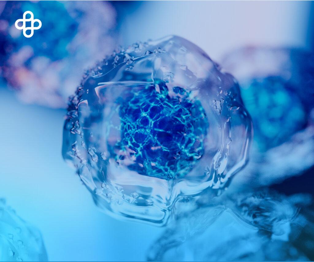 Una mujer recibe la primera córnea generada con células madre