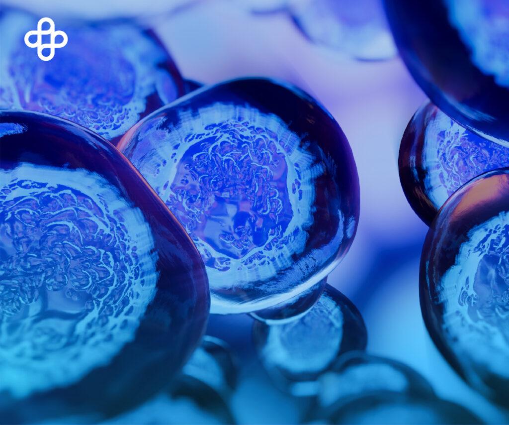 Células madre totipotenciales