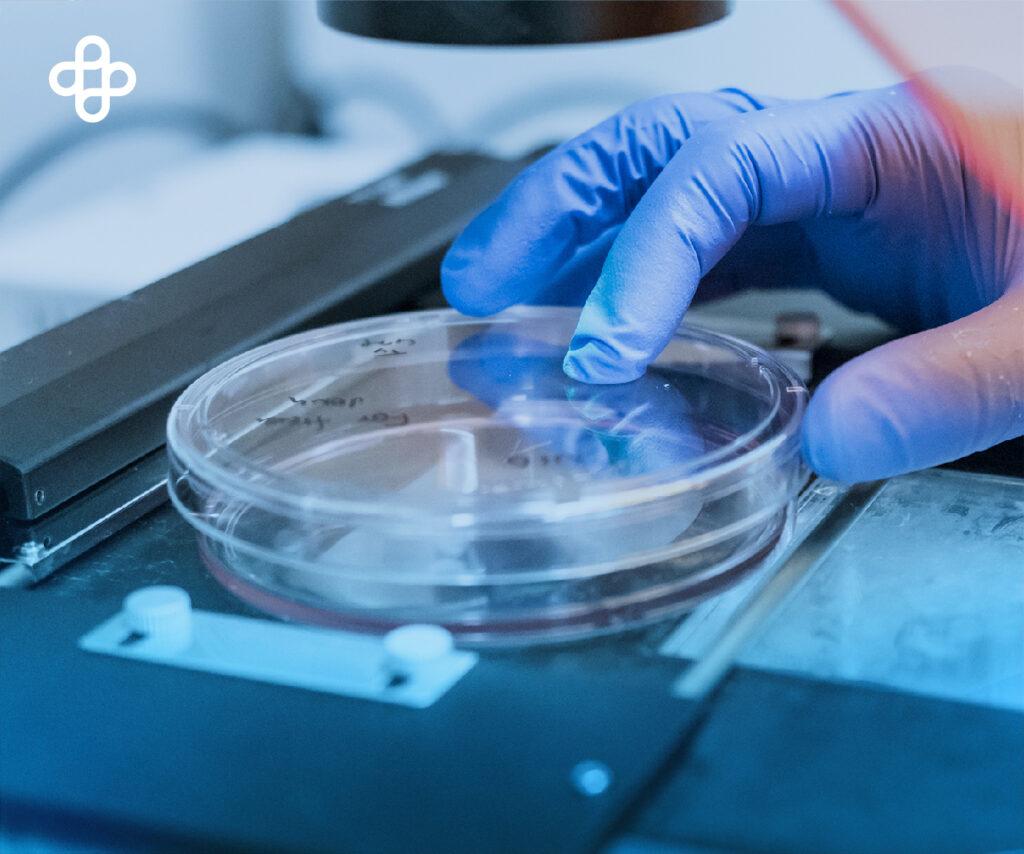 Células madre pastillas