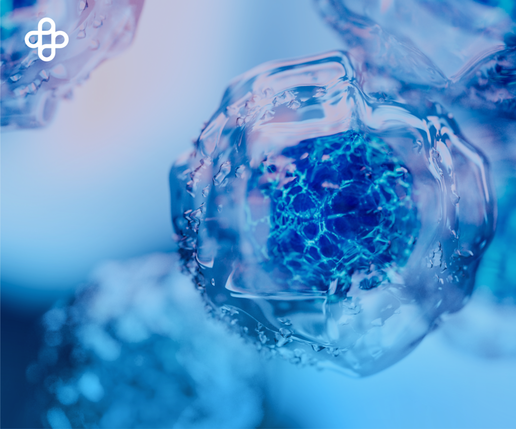 Células madre, Medio siglo de descubrimientos e innovaciones