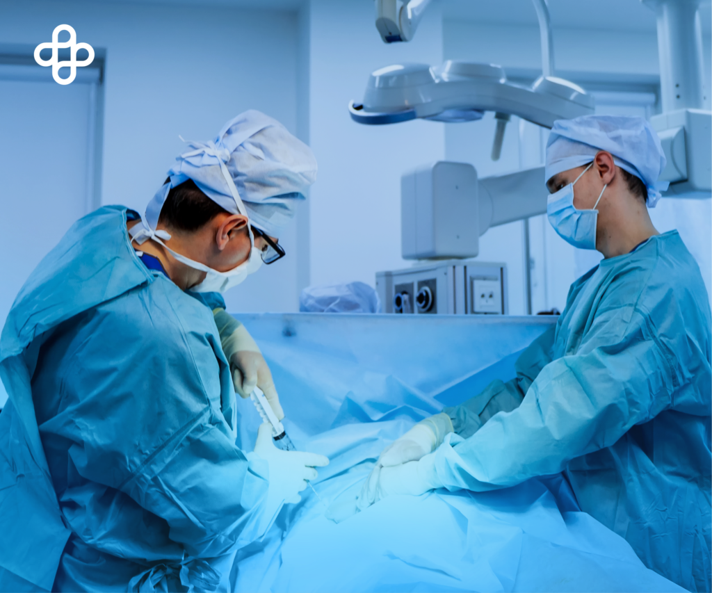 Células Madre en la Lucha contra el Cáncer: Trasplantes y Terapias Revolucionarias