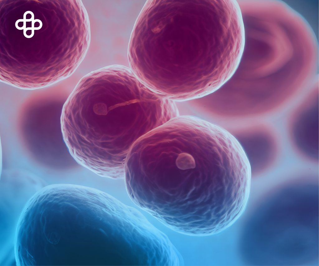 Células Madre y el VIH SIDA